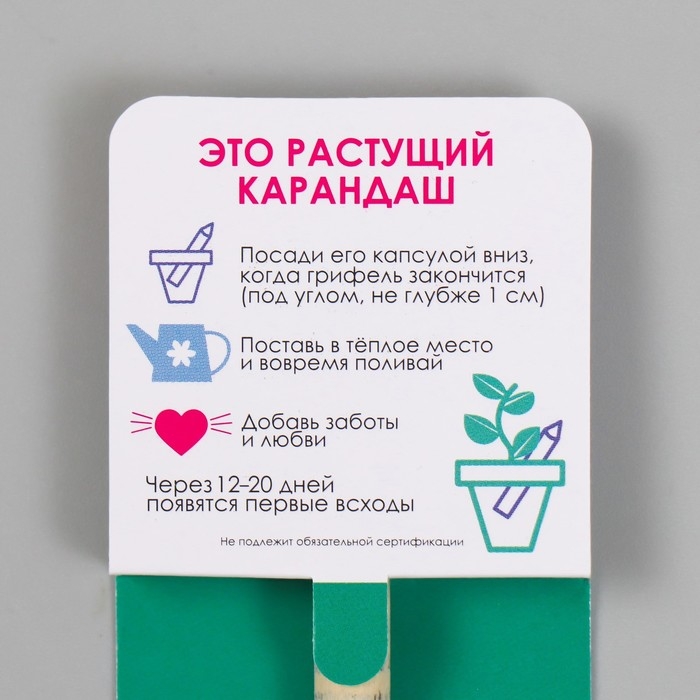 Растущие подарочные карандаши mini "Сосна"