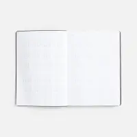 Ежедневник Nebraska Flex, недатированный, бордовый с золотистым Ежедневник Nebraska Flex, недатированный, бордовый с золотистым