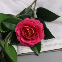 Цветы искусственные "Камелия" 85 см, ярко-розовый Цветы искусственные "Камелия" 85 см, ярко-розовый