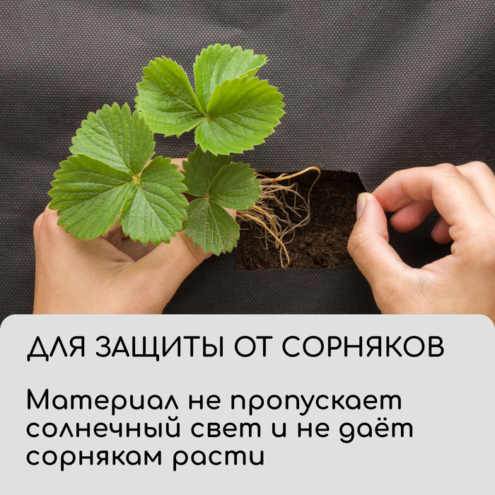 Материал для ландшафтных работ, 20 &times; 1,6 м, плотность 120 г/м&sup2;, спанбонд с УФ-стабилизатором, чёрный, Greengo, Эконом 30%