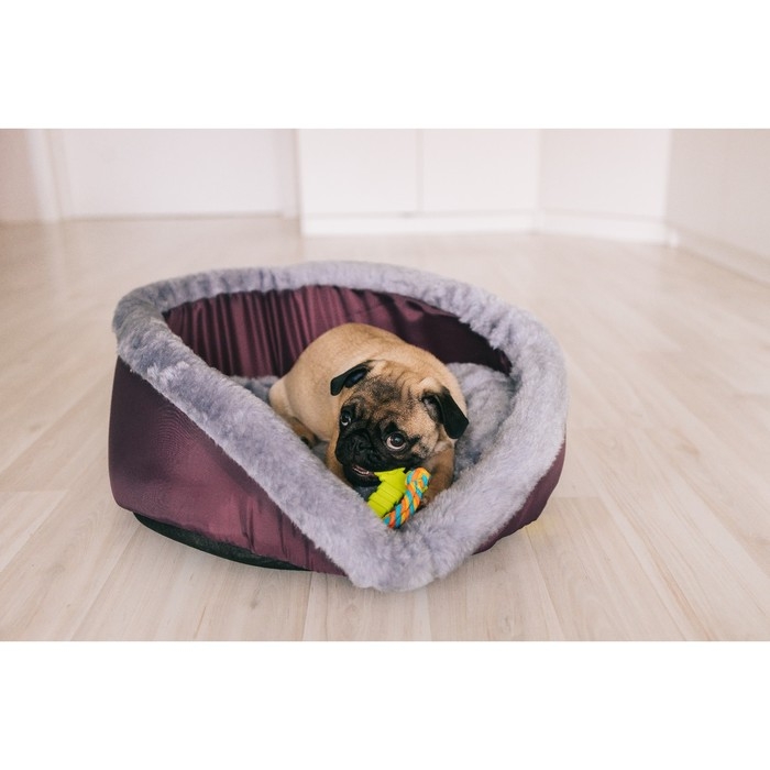 Лежак "Ассоль", 57 x 32 x 28 см, красный