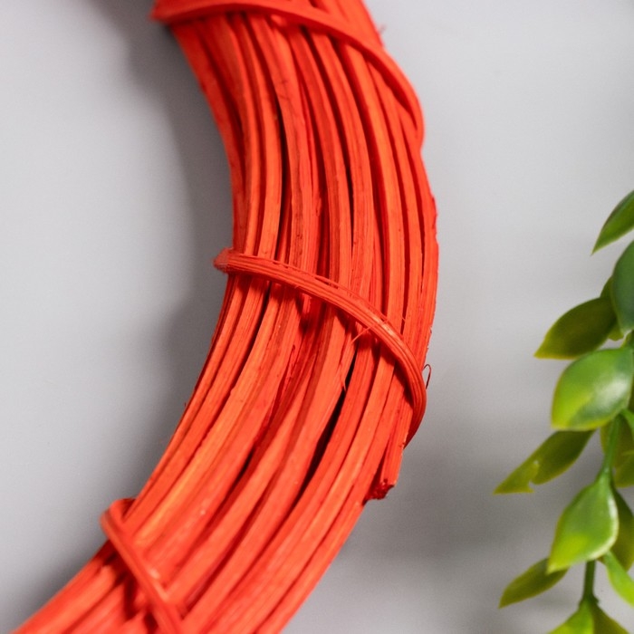 Кольцо ротанг для изготовления ловца снов Кольцо ротанг для изготовления ловца снов "Красный" d=30 см