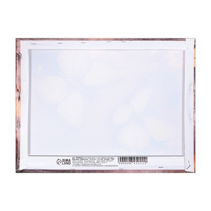 Картина &laquo;Бабочки&raquo;, 30 х 40 см