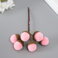 Цветы для декорирования "Хлопчик" розовый 1 букет= 6 веточек d=2 см 11 см Цветы для декорирования "Хлопчик" розовый 1 букет= 6 веточек d=2 см 11 см