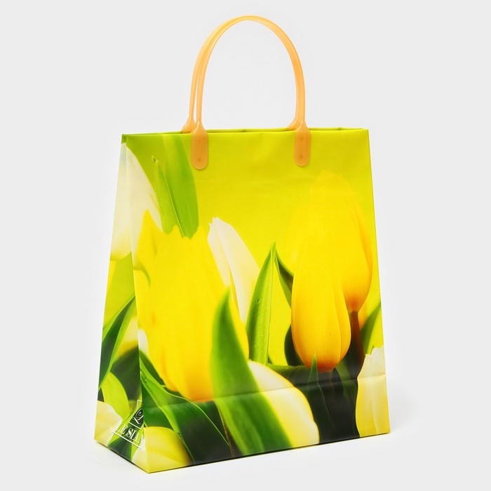 Пакет Пакет "Яркая композиция", мягкий пластик, 26 х 23 см, 100 мкм