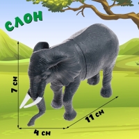 Набор животных &laquo;Животный мир&raquo;, 2 фигурки