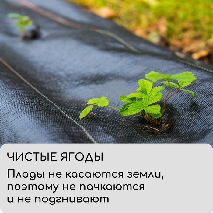Агроткань застилочная, с разметкой, 10 &times; 1,1 м, плотность 100 г/м&sup2;, полипропилен, Greengo, Эконом 50%