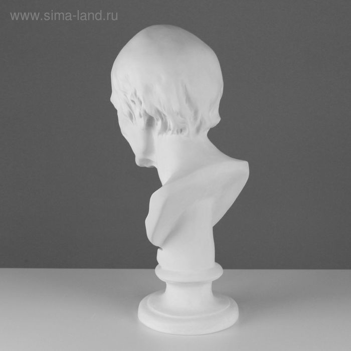 Гипсовая фигура Голова Вольтера, 20 х 26 х 48 см Гипсовая фигура Голова Вольтера, 20 х 26 х 48 см