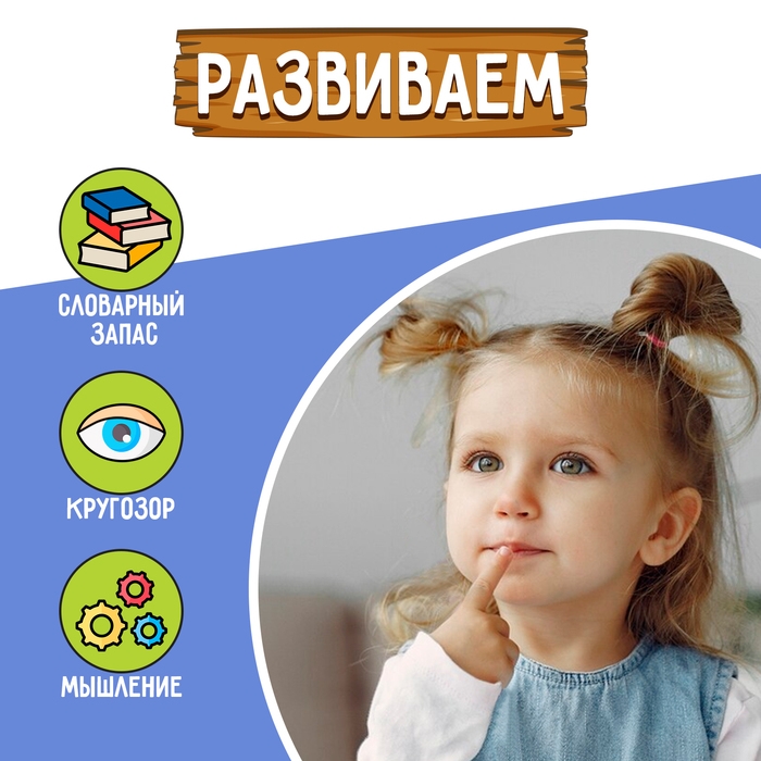 Развивающий набор «Хвойные и лиственные деревья» Развивающий набор «Хвойные и лиственные деревья»