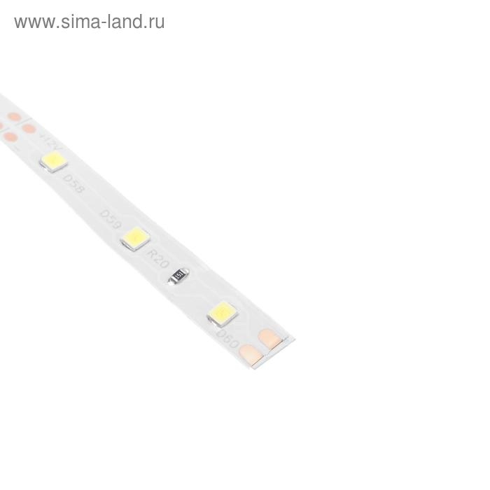 Светодиодная лента Ecola PRO 5 м, IP20, SMD3528, 60 LED/м, 4.8 Вт/м, 12 В, 6000К Светодиодная лента Ecola PRO 5 м, IP20, SMD3528, 60 LED/м, 4.8 Вт/м, 12 В, 6000К