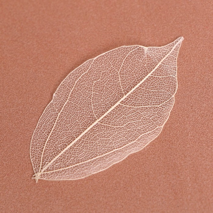 Сухие листья, набор 5 шт., размер 1 шт. &mdash; 8 &times; 5 см, цвет белый