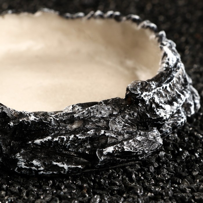 Кормушка для террариума, 16 х 16 х 4 см Кормушка для террариума, 16 х 16 х 4 см