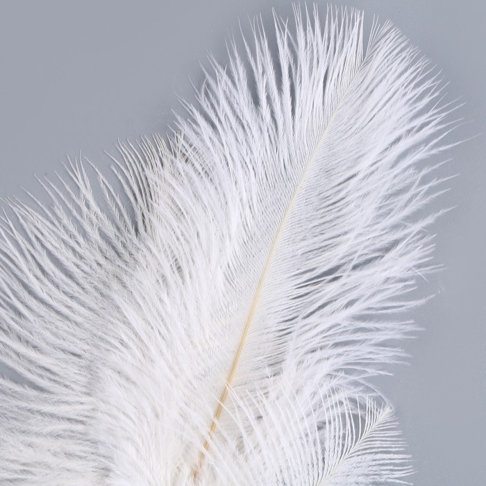 Декор из перьев &laquo;Фонтан&raquo; на ножке, высота &mdash; 68 см