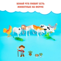 Набор фигурок животных &laquo;Домашние животные&raquo;, 6 штук, с аксессуарами