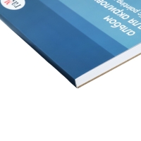 Альбом для акрила, А3 Гамма "Студия" 12 листов, 400г/м, на склейке Альбом для акрила, А3 Гамма "Студия" 12 листов, 400г/м, на склейке