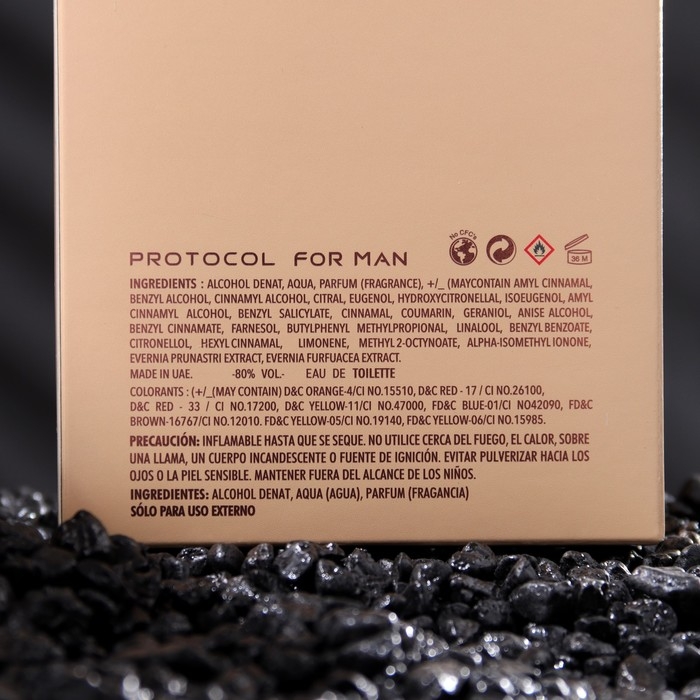 Туалетная вода мужская PROTOCOL, 100 мл Туалетная вода мужская PROTOCOL, 100 мл