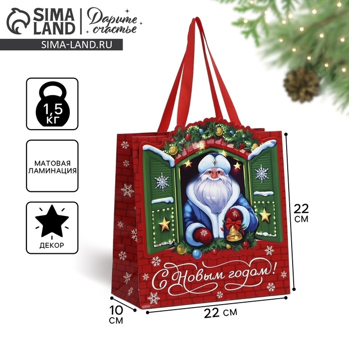 Пакет подарочный новогодний &laquo;Дедушка Мороз&raquo;, 22 х 22 х 10 см , Новый год