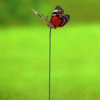 Штекер "Бабочка Дельфиус" 25см, набор 15шт, МИКС Штекер "Бабочка Дельфиус" 25см, набор 15шт, МИКС