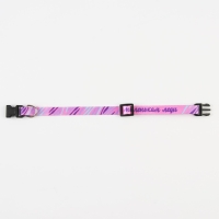 Ошейник для собак и кошек с фастексом «Маленькая леди», 30х1 см Ошейник для собак и кошек с фастексом «Маленькая леди», 30х1 см