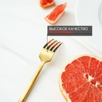 Вилка столовая из нержавеющей стали Magistro Kolos, длина 19,5 см, цвет золотой Вилка столовая из нержавеющей стали Magistro Kolos, длина 19,5 см, цвет золотой