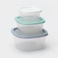 Набор контейнеров квадратных BioFresh, 3 шт: 0,23 л, 0,5 л, 0,9 л, цвет прозрачный, крышка МИКС Набор контейнеров квадратных BioFresh, 3 шт: 0,23 л, 0,5 л, 0,9 л, цвет прозрачный, крышка МИКС