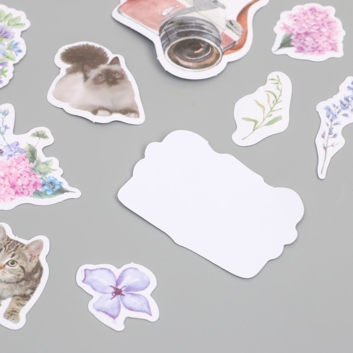 Наклейки для творчества Наклейки для творчества "Коты, цветы и фото" 3,5х5 см набор 40 шт 9,4х8,4х0,5 см
