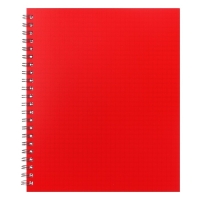 Тетрадь на гребне A5 48 листов в клетку Calligrata Красная, пластиковая обложка, блок офсет Тетрадь на гребне A5 48 листов в клетку Calligrata Красная, пластиковая обложка, блок офсет