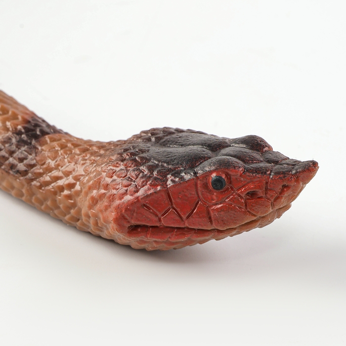 Резиновая змея &laquo;Полоз&raquo;