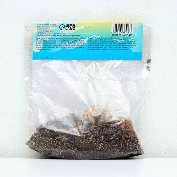 Лилия Многоцветная "Трайбл Дэнс", р-р 12/14, 3 шт,