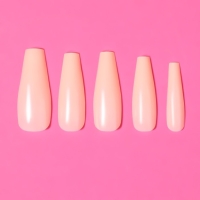 Накладные ногти &laquo;Base&raquo;, 100 шт, в контейнере, цвет бежевый