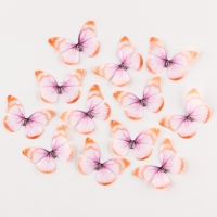 Декор для творчества &laquo;Бабочка&raquo;, двухслойный, набор 12 шт.,размер 1 шт. &mdash; 5 &times; 4 см, цвет оранжевый