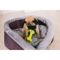 Игрушка жевательная с канатом "Кость с хвостом", зелёная Игрушка жевательная с канатом "Кость с хвостом", зелёная