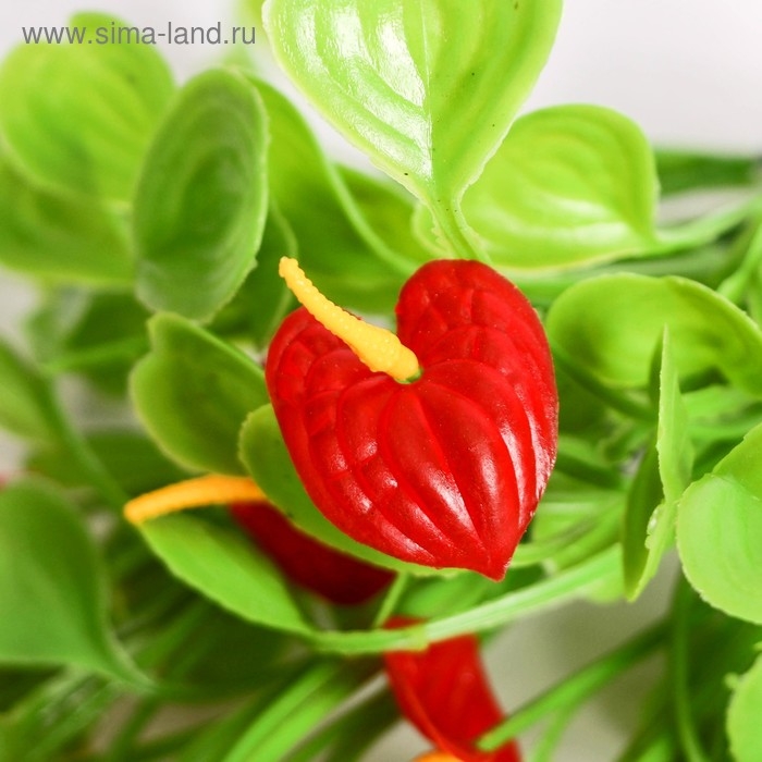 Букет Букет "Антуриум" 30 см