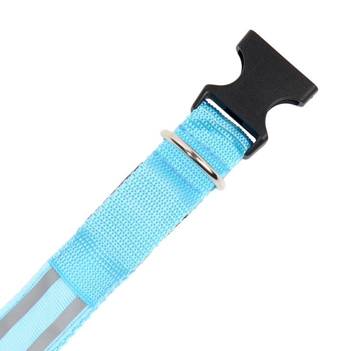 Ошейник с подсветкой Двойная полоса размер XL, ОШ 52-60 х 2,5 см, 3 режима свечения голубой