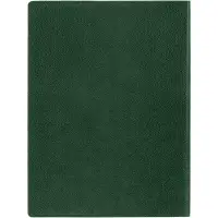 Ежедневник в суперобложке Brave Book, недатированный, зеленый