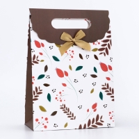 Подарочная коробка-пакет, упаковка с вырубной ручкой, "Весенняя композиция" , 19 х 9 х 27 см Подарочная коробка-пакет, упаковка с вырубной ручкой, "Весенняя композиция" , 19 х 9 х 27 см