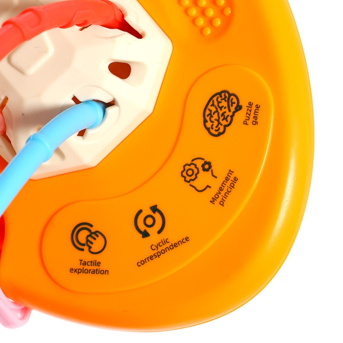 Развивающая игрушка &laquo;Морковка-тянучка&raquo;