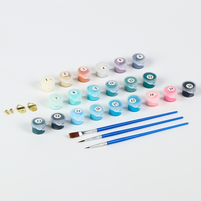 Картина по номерам с подрамником &laquo;Дракон в небе&raquo;, 30 х 40 см