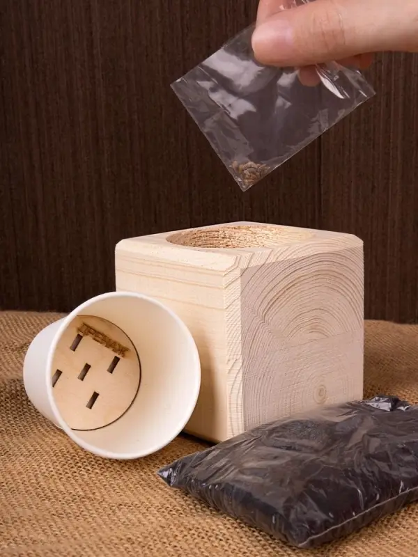 Набор для выращивания &laquo;Экокуб&raquo;, ель голубая