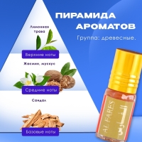 Духи масляные мужские Bosaanac, 3 мл Духи масляные мужские Bosaanac, 3 мл