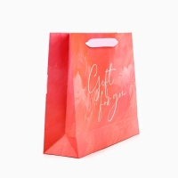 Пакет ламинированный с лентой «С любовью», M 30 × 9 × 26 см Пакет ламинированный с лентой «С любовью», M 30 × 9 × 26 см