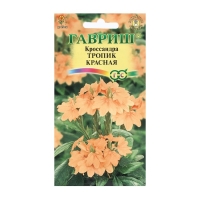 Семена цветов Кроссандра "Тропик красная", 3 шт. Семена цветов Кроссандра "Тропик красная", 3 шт.