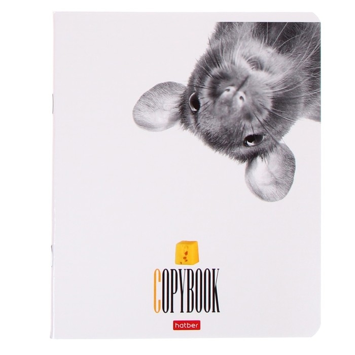 Тетрадь 48 листов в клетку Тетрадь 48 листов в клетку "Кто здесь?", обложка мелованный картон, выборочный лак, блок офсет, МИКС