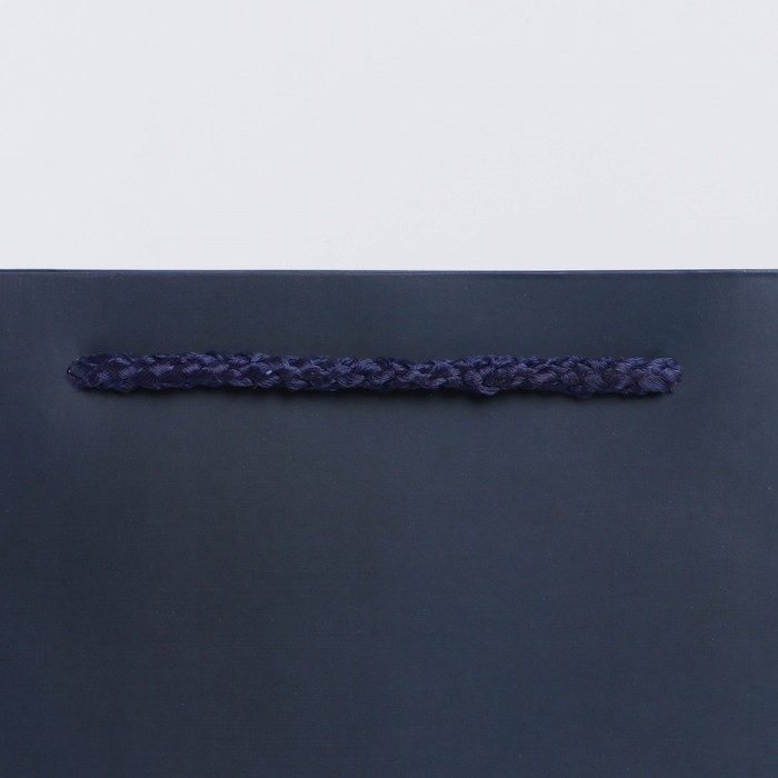 Пакет подарочный ламинированный вертикальный, упаковка, «Ты лучший», ML 23 х 27 х 11,5 см Пакет подарочный ламинированный вертикальный, упаковка, «Ты лучший», ML 23 х 27 х 11,5 см