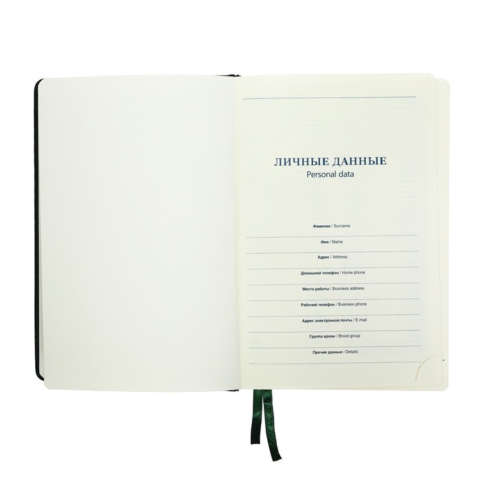 Ежедневник НЕдатированный А5, 136 листов в линейку, кожзам Ежедневник НЕдатированный А5, 136 листов в линейку, кожзам "Небраска", золотой срез, зеленый