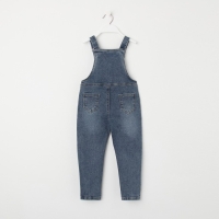 Полукомбинезон для девочек, цвет синий, рост 74см