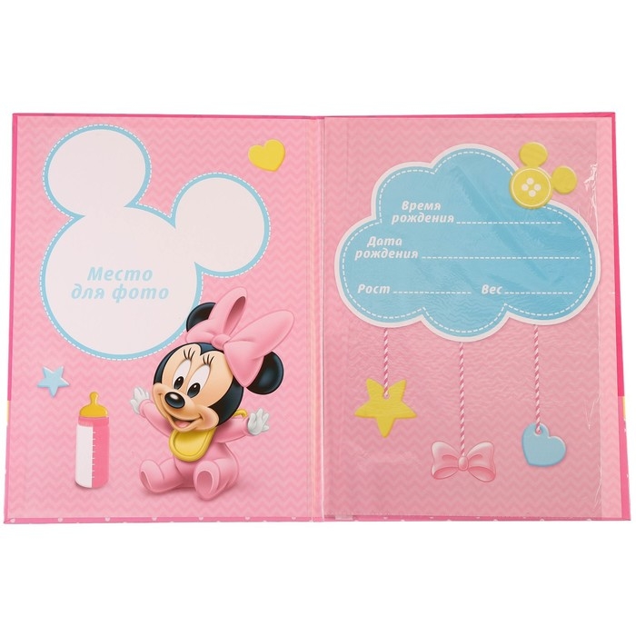 Обложка для документов набор Обложка для документов набор "Мои первые документы", Минни Маус, 21х30 см