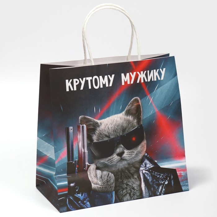 Пакет подарочный, упаковка, &laquo;Мужику&raquo;, 22 х 22 х 11 см