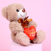 Мягкая игрушка &laquo;Спасибо, что ты есть&raquo;, 22 см., МИКС