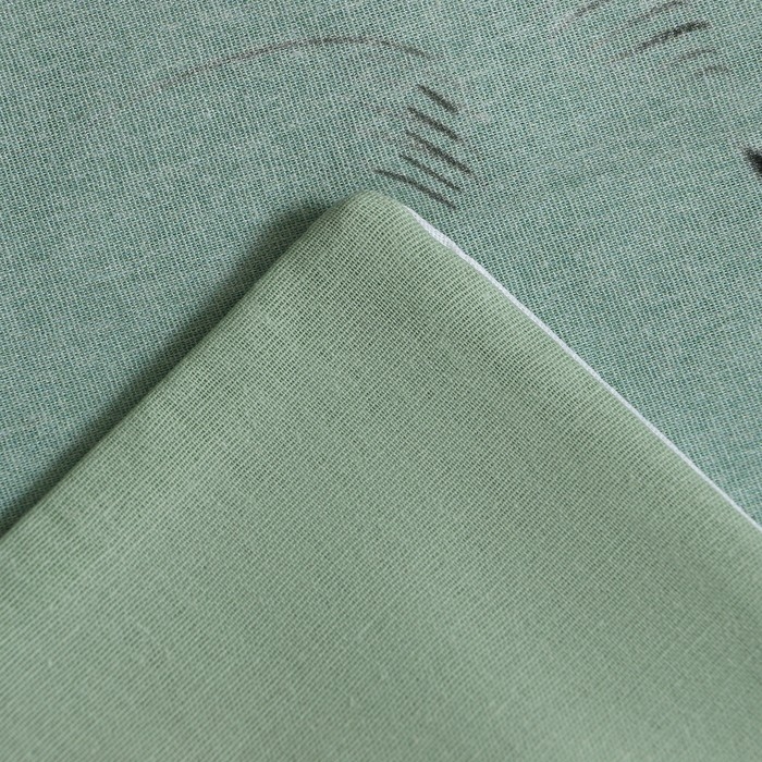 Постельное бельё Постельное бельё "Этель" 1,5 сп Dragon kingdom 143х215 см, 150х214 см, 50х70 см -1 шт, бязь